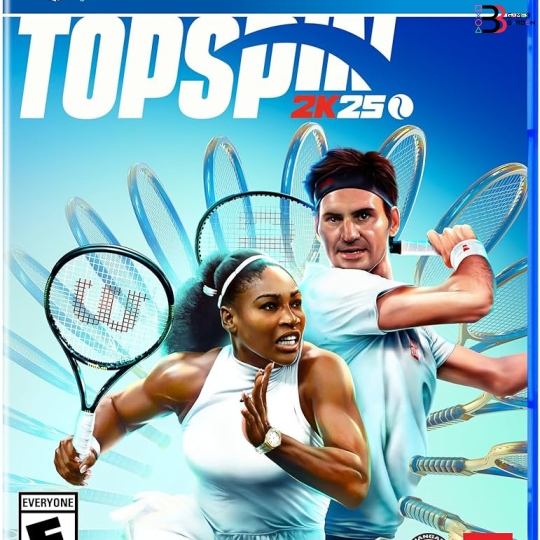 GAME PS4 TOPSPIN 2K25 